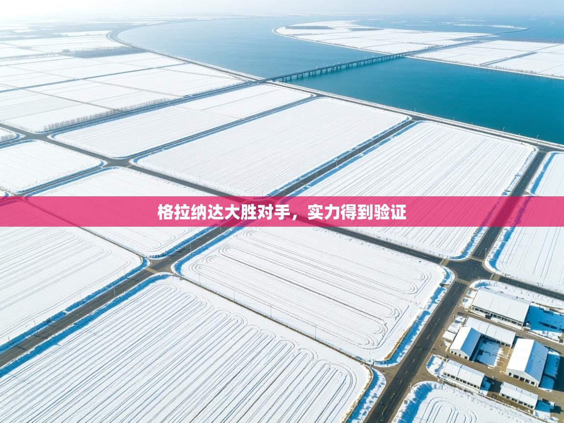 格拉纳达大胜对手，实力得到验证  第2张