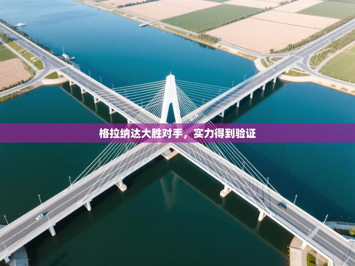 格拉纳达大胜对手，实力得到验证  第1张