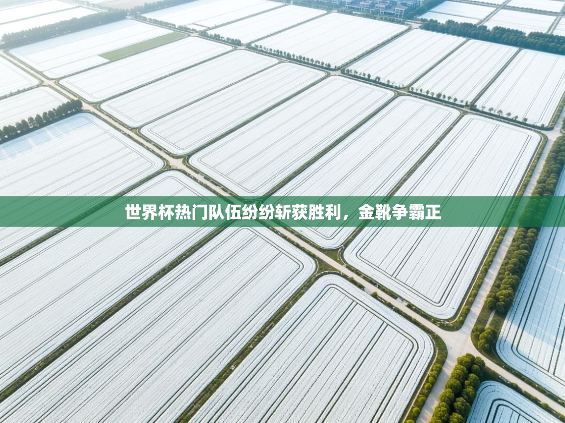 世界杯热门队伍纷纷斩获胜利,金靴争霸正 第1张