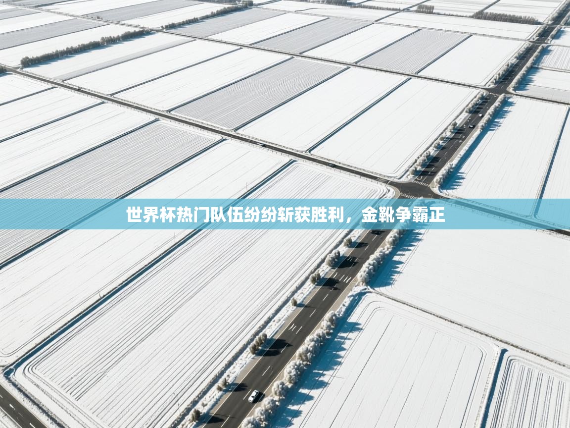 世界杯热门队伍纷纷斩获胜利,金靴争霸正 第2张