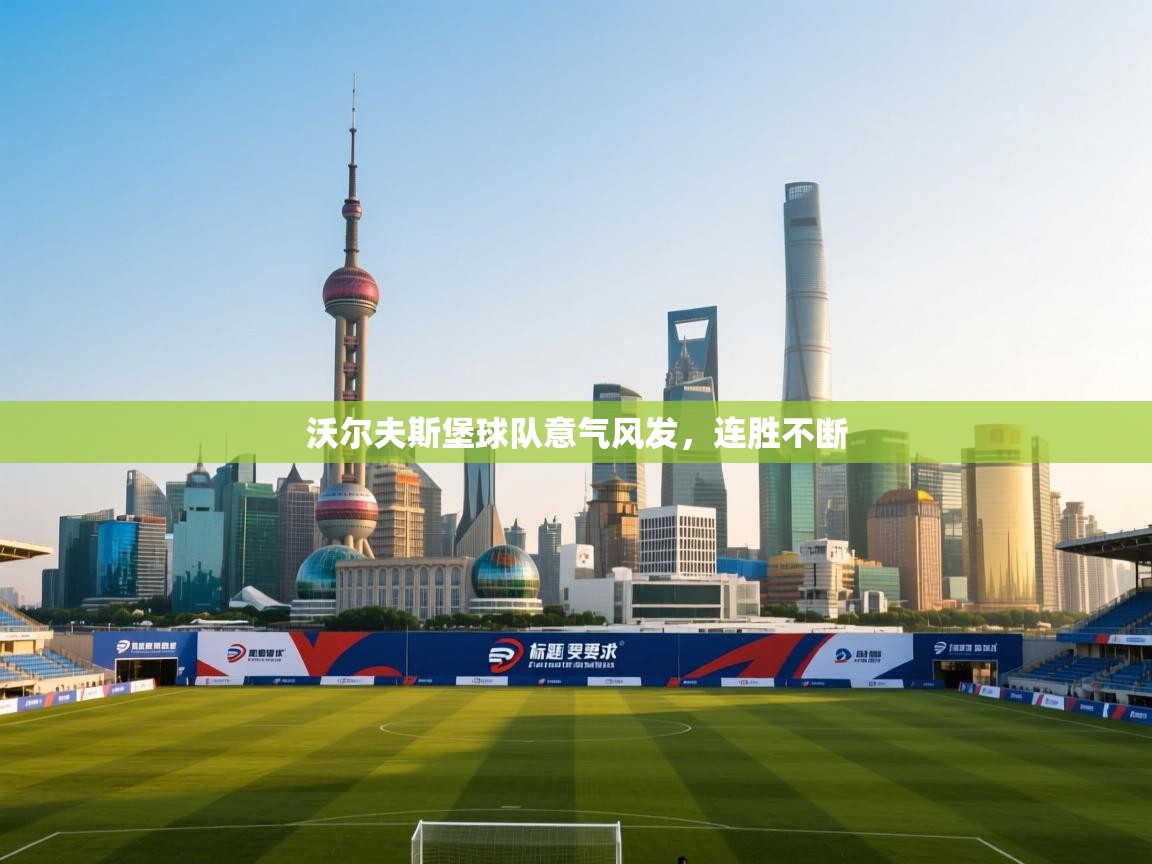 沃尔夫斯堡球队意气风发，连胜不断  第1张