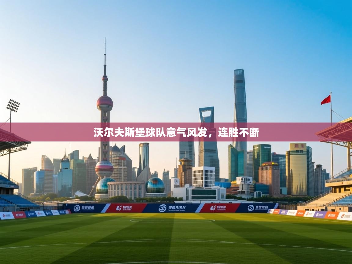 沃尔夫斯堡球队意气风发，连胜不断  第2张