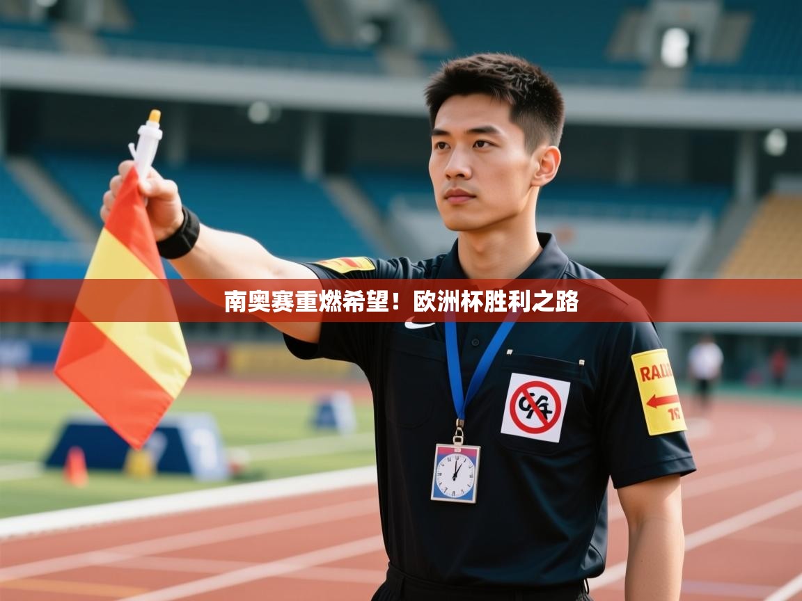 南奥赛重燃希望!欧洲杯胜利之路 第2张