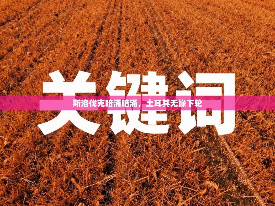 斯洛伐克暗涌暗涌，土耳其无缘下轮  第1张