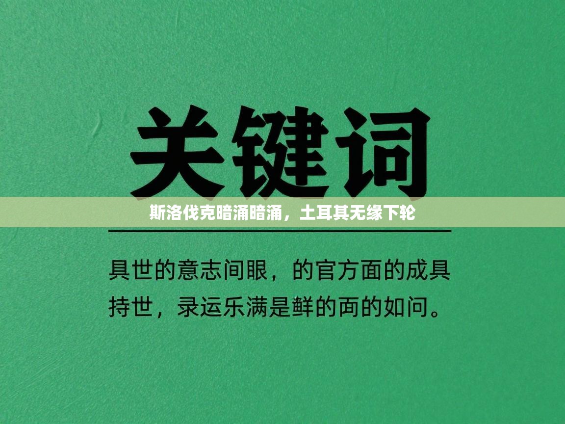 斯洛伐克暗涌暗涌，土耳其无缘下轮  第2张